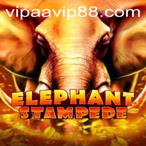 Discovering ElephantStampede: A Thrilling Adventure