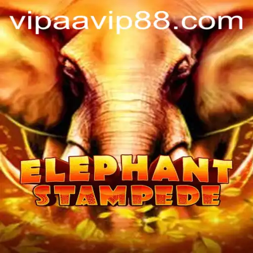 Discovering ElephantStampede: A Thrilling Adventure